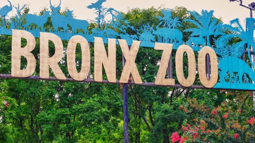 The 20 Best Zoos in the U.S.