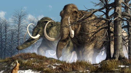 How Mammoth Poop Is Changing What We Know About Their Extinction
