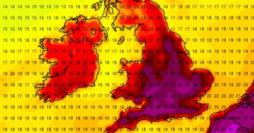UK weather forecast: Heat to reach 'lethal' highs as No10 urged to issue drought warning