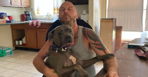 Man forced to choke his own dog to death in terrifying 45-minute attack