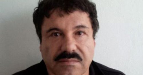 Regular folks who got involved with drug cartels - and the horror that followed