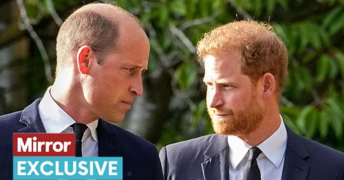 Prince Harry must focus on a 'less confrontational way forward' to reconcile with William