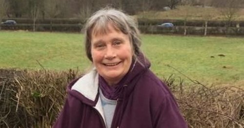 Woman attacked by herd of cows who kill dog and leave her in coma for eight days