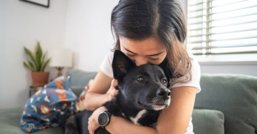 Your dog has five ways of telling you it loves you - here's how to spot signs