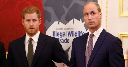 William will come out of Harry's memoir 'worst of all', says royal expert