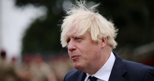 Bombshell official email claims Boris Johnson intervened in Kabul animal rescue