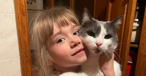 Family considering going back to Ukraine because they can't keep their cats with them