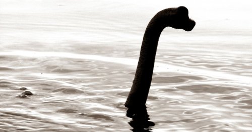Mythical Loch Ness Monster stuns tourists as beast 'spotted' 600 miles home