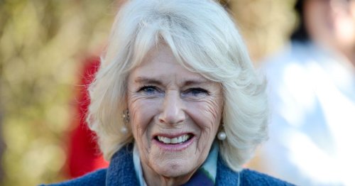 Camilla could 'step up' to help Queen - carving new royal role for Kate