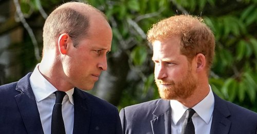 Prince Harry's curt 'two-word response after rejecting heart-to-heart with William'