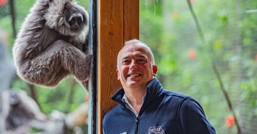 Boss of major UK zoo was told 'not to employ black or gay people' by total stranger