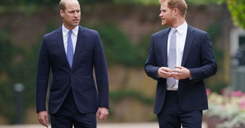 Prince Harry's bold outburst after William said he 'didn't want to be king'