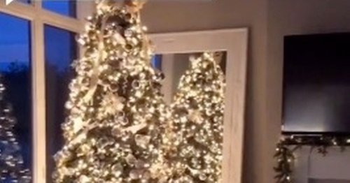 Woman shows off simple bauble hack to make your Christmas tree look perfect