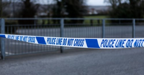 Man confronted by paedophile hunters on live stream found dead on M4 with 'multiple injuries'