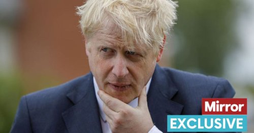 MP attempts to bring Boris Johnson to justice with law to ban lies from politics