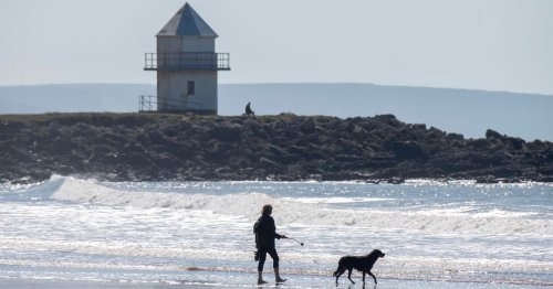 Top 10 staycation spots to holiday with pets from Wales to Yorkshire - see list