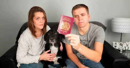 Newlyweds refused entry to Bali for honeymoon after 16-hour flight because dog chewed corner of passport