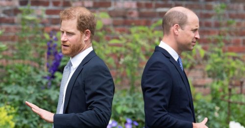 William 'majorly regrets' chat with Harry that soured bond, royal expert says
