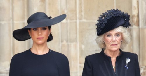Camilla's kind gesture of support for Harry and Meghan made 'no impact', claims book