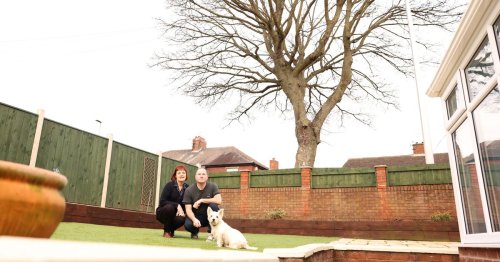 Couple slams council for refusing to cut back tree 'ruining' their garden