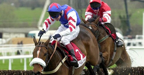 Legendary Cheltenham Gold Cup winner Looks Like Trouble dies aged 33