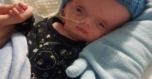 Proud mum's tribute to 'little warrior' son who 'thrived on his noisy siblings'