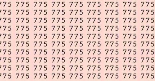 You have eyes like a hawk if you can spot the number 725 among the 775s in 7 seconds