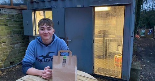 Boy, 15, sets up scotch egg business in lockdown says his dreams have come true