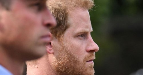 Prince Harry's bitter hatred of 'usurper' Simon Case who did William's bidding