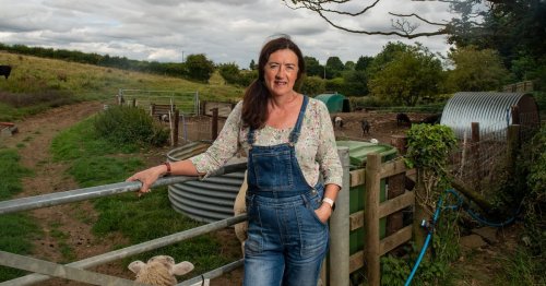 Gran wins fight to build £400,000 'Teletubby' eco-house in posh village after row