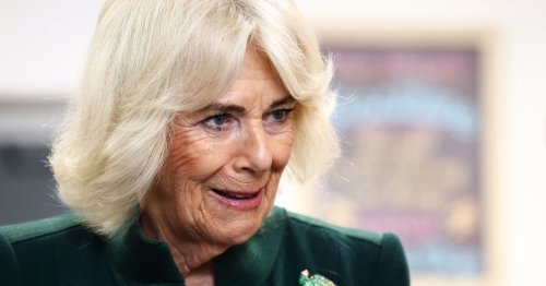 Queen Camilla shares emotional moment with domestic violence survivor - The Mirror