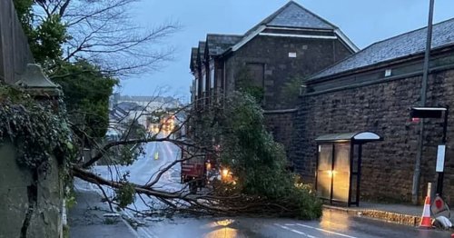 Storm Mathis: Trees topple across UK as wind speeds hit up to 100mph and batter Brits