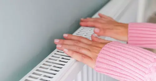 Heating expert's 70p trick will 'bring radiator back to life' and heat your home faster
