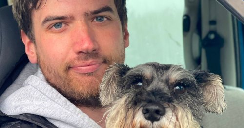 Stranded driver forced to sleep in car overnight with dog due to fuel shortage