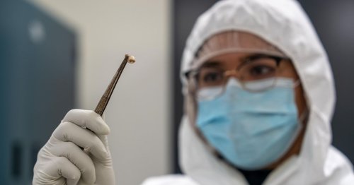 Bubonic plague 'making comeback' - and only certain people will survive it