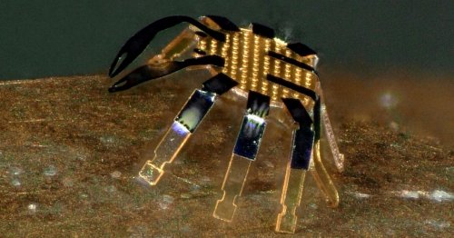 Tiny robotic crab to walk through arteries and clear blockages in life-saving new tech