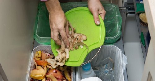 New 2035 climate change targets - 5 big ways they will change your everyday life