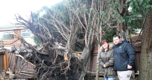 Family feared for their lives as 60ft tree smashed into home in Storm Arwen