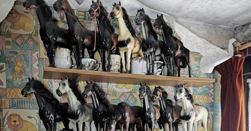 Abandoned house full of horse trinkets and stuffed owls left untouched for years