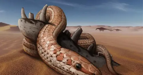 Remains of 'biblical' snake with hind legs and enormous mouth discovered