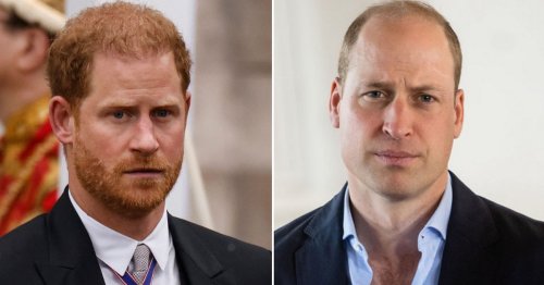 The one simple word that cost Prince Harry's strained relationship with his brother