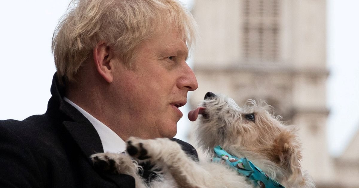Boris Johnson's awkward animal fails from randy dog to ostrich bite and Carrie snub