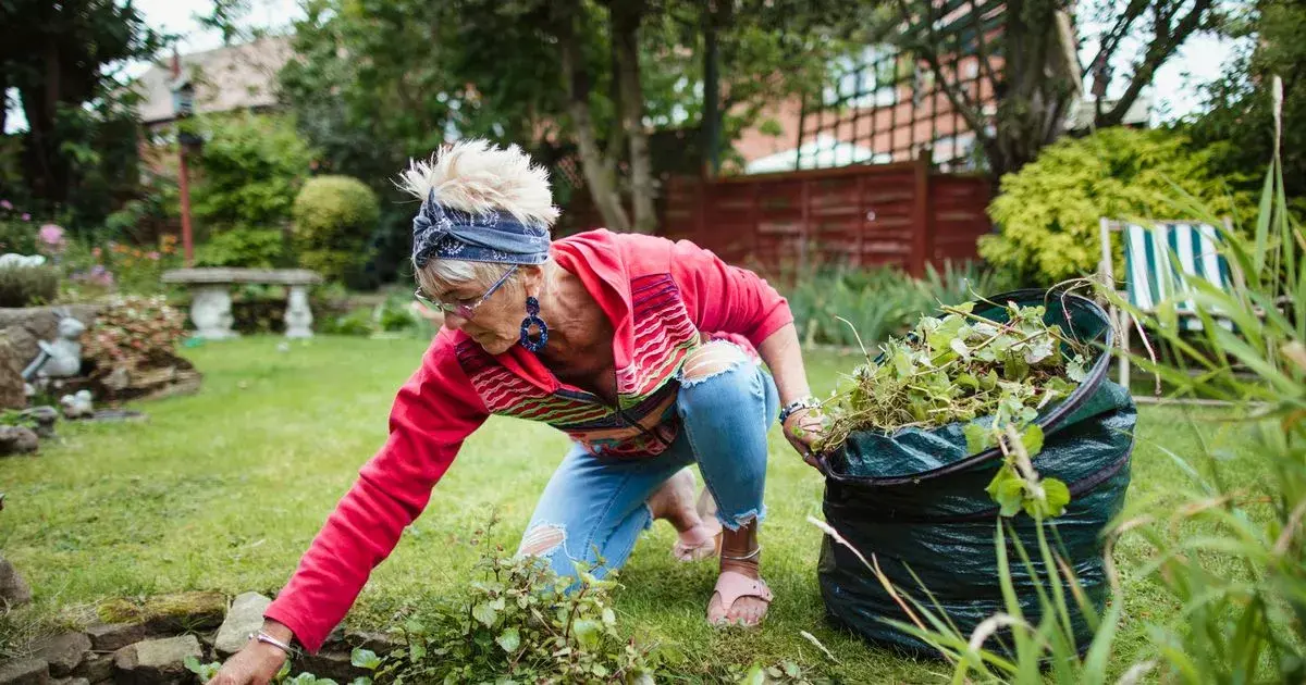 Gardeners urged to save nut shells to stop weeds growing immediately