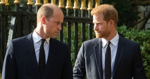 King Charles' Coronation will 'keep William and Harry separate' to avoid awkward clash