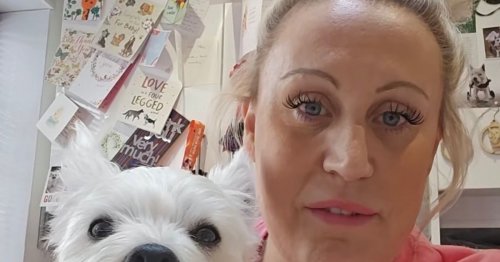 Saturday Night Takeaway winner heartbroken as paralysed dog banned from holiday she won on show