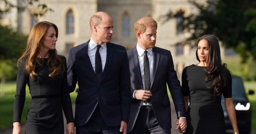 William and Kate 'won't tell Harry and Meghan anything' in fear chats will be 'for sale'
