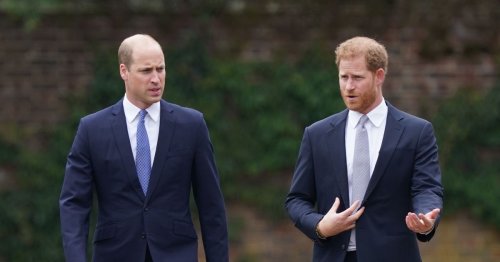 Harry and William 'put on good show but there may be way to go,' biographer says