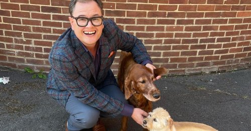 Alan Carr devastated as he's slammed for rescuing helpless dog from certain death