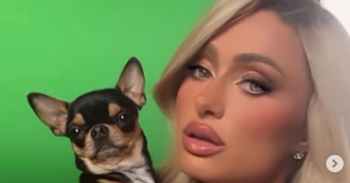 Paris Hilton misses dog 'so much it hurts' as security 'block' her upping reward