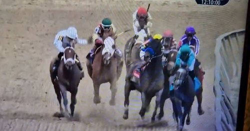 ‘Look at the elbows!’ - jockeys tangle as Journalism fights back to win £1.5m Preakness